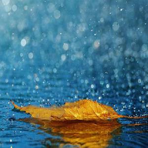 国产伦理视频精品,一区二区三区
